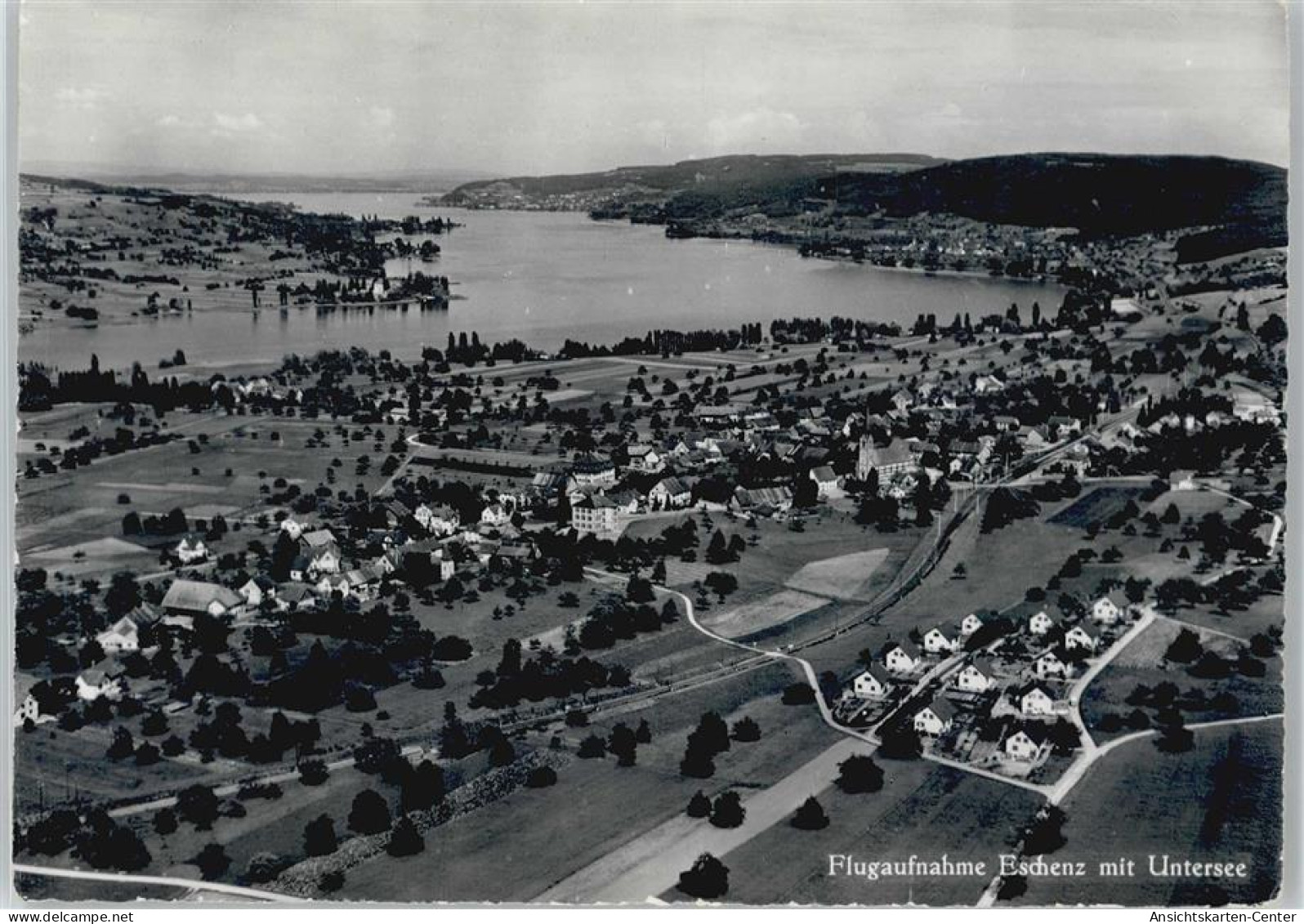 50677913 - Eschenz Bornhausen