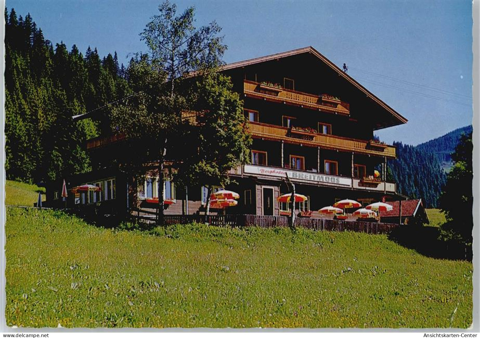 50683942 - Mittersill