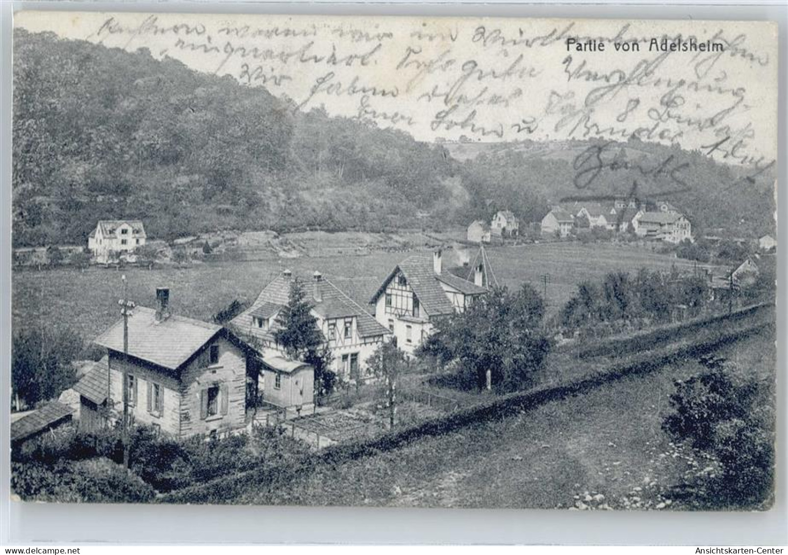 50684386 - Adelsheim