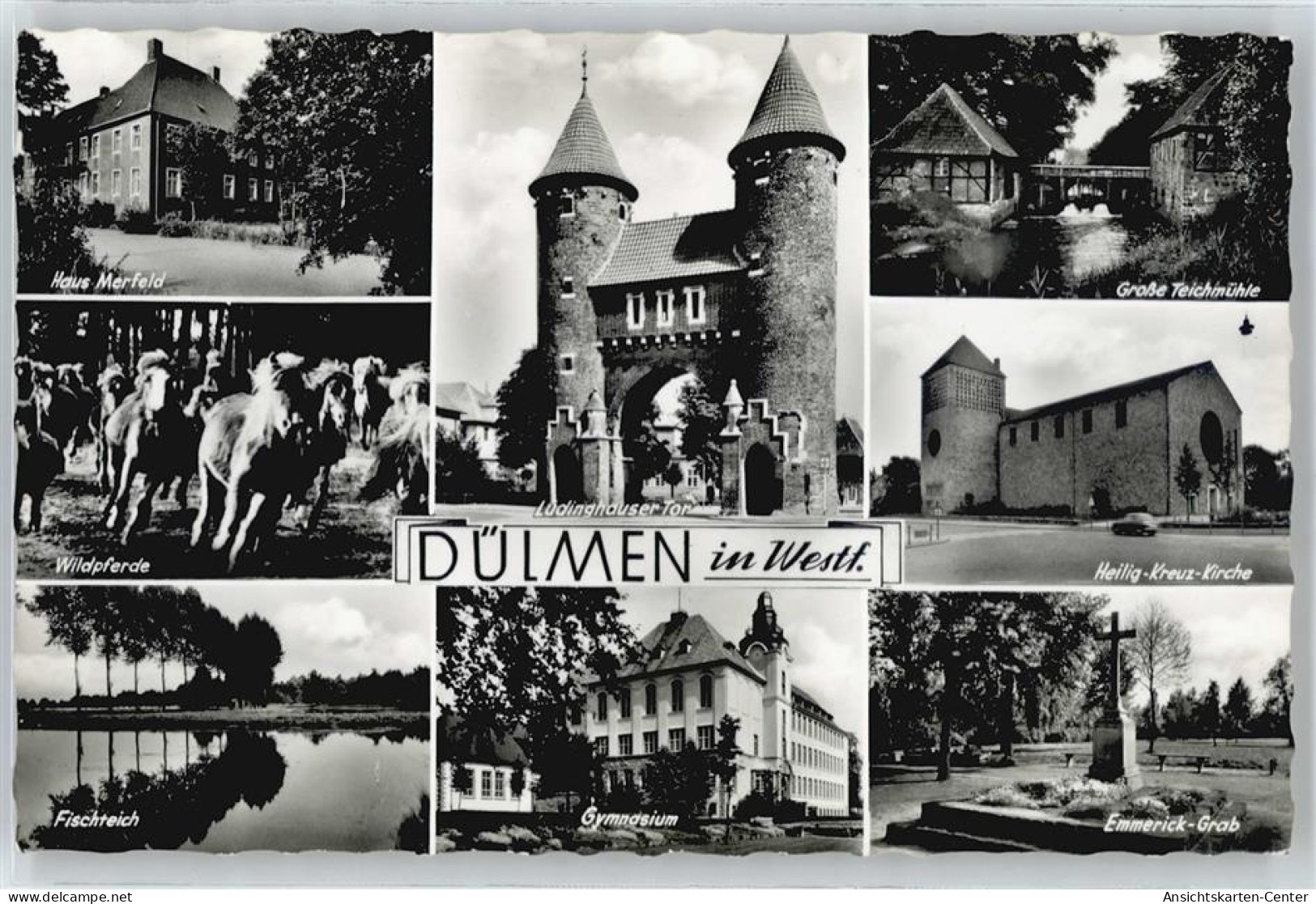 50686167 - Duelmen