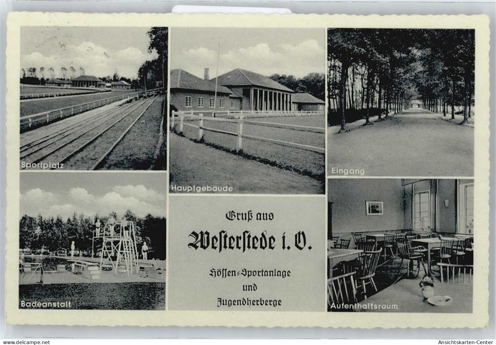 50686495 - Westerstede