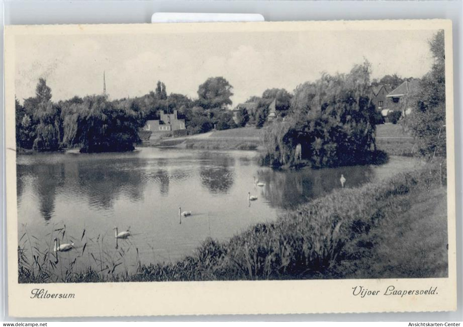 50690776 - Hilversum