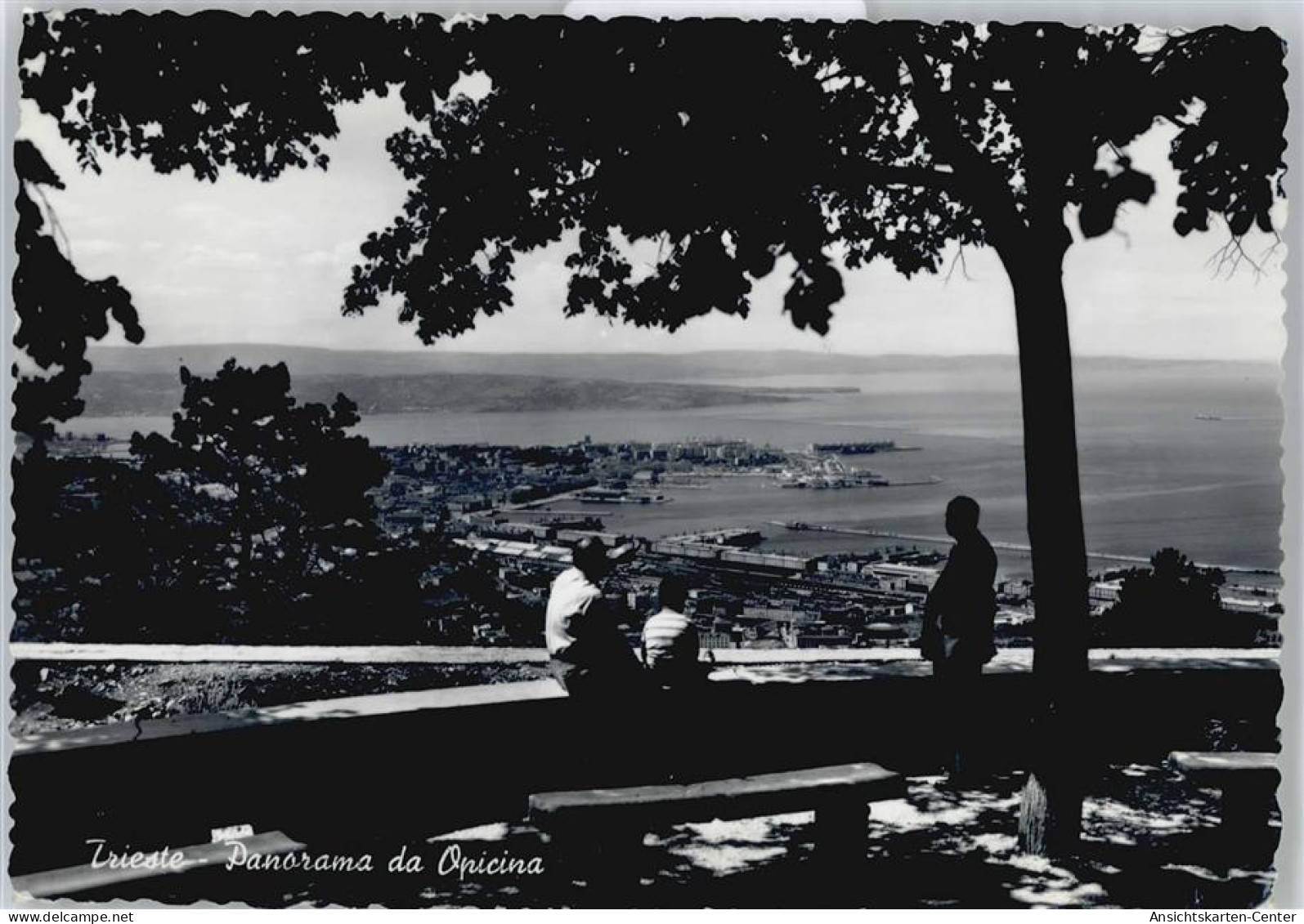50690965 - Trieste / Triest / Trst