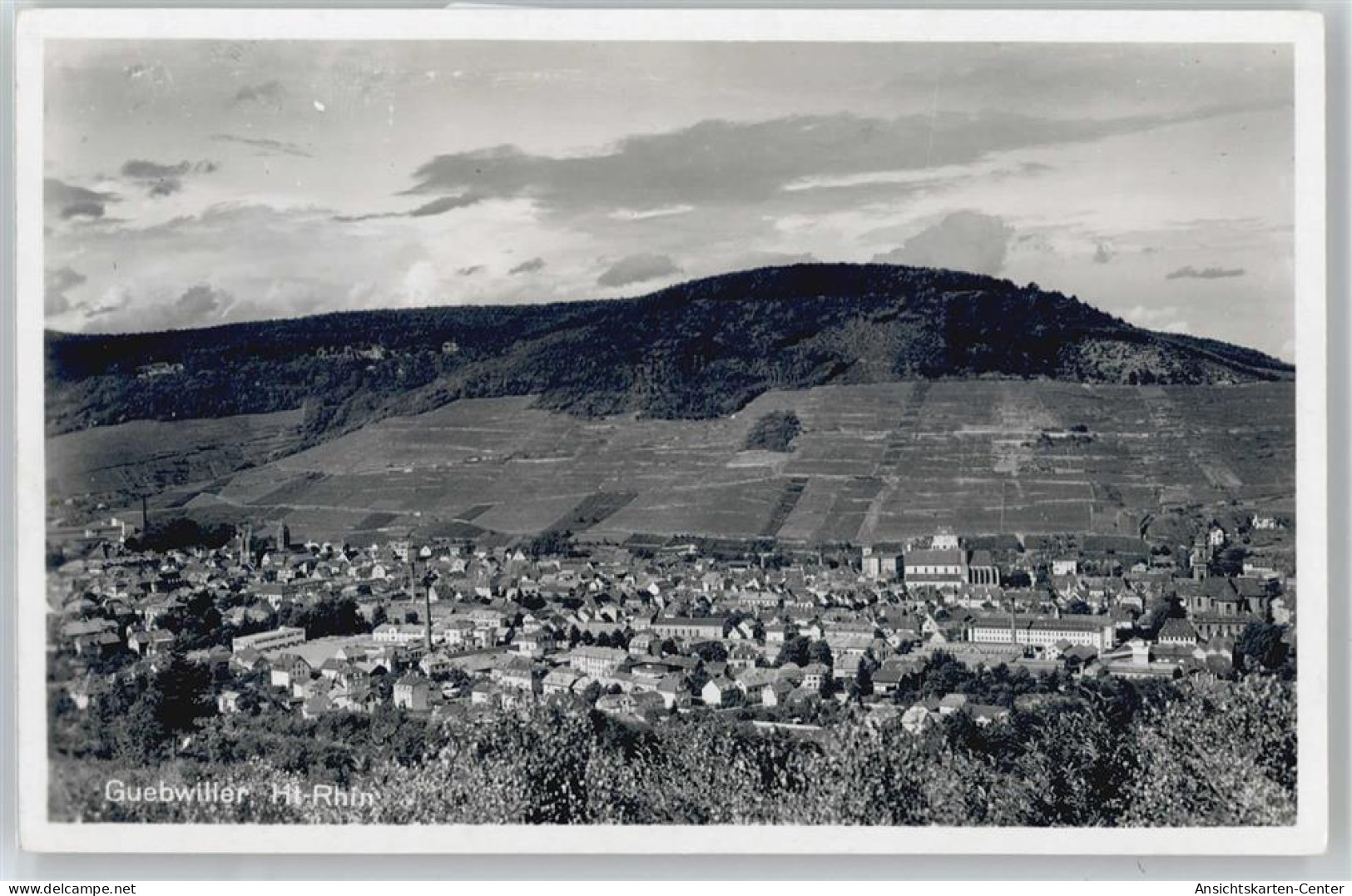 50695592 - Guebwiller