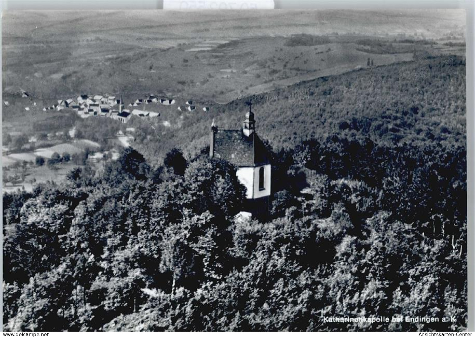 50702550 - Endingen am Kaiserstuhl
