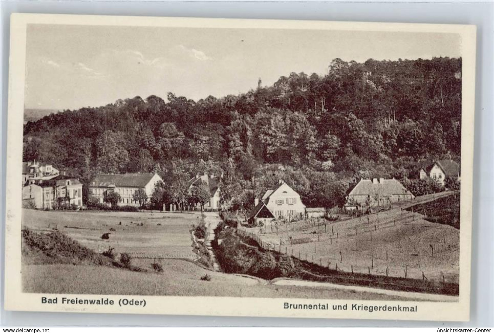 50703775 - Bad Freienwalde