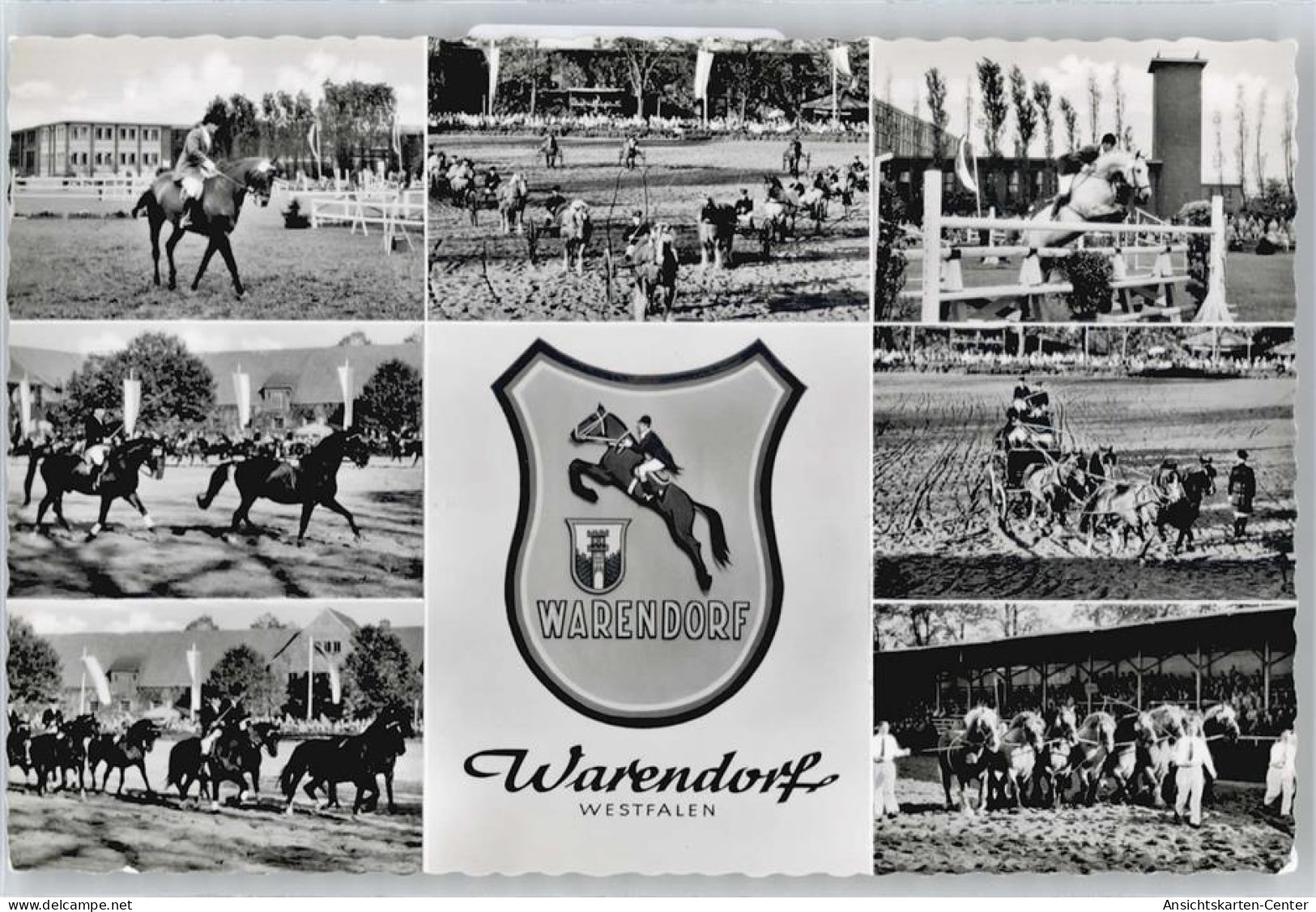 50707559 - Warendorf