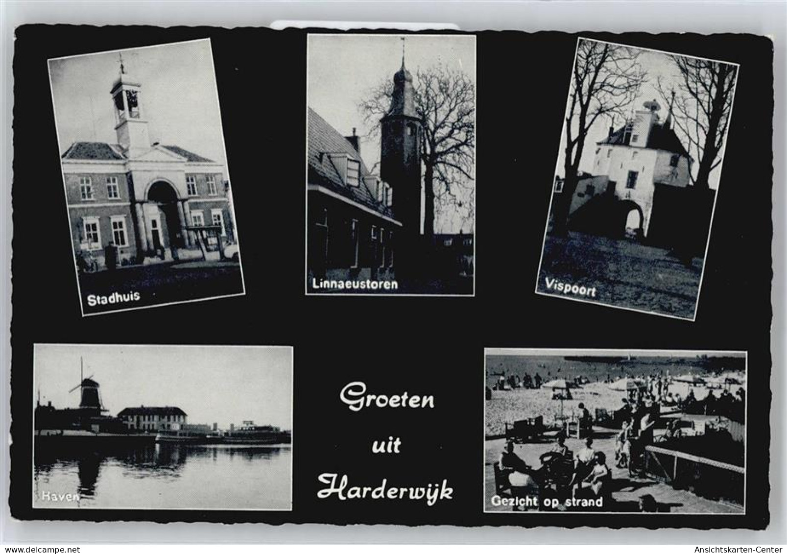 50707684 - Harderwijk