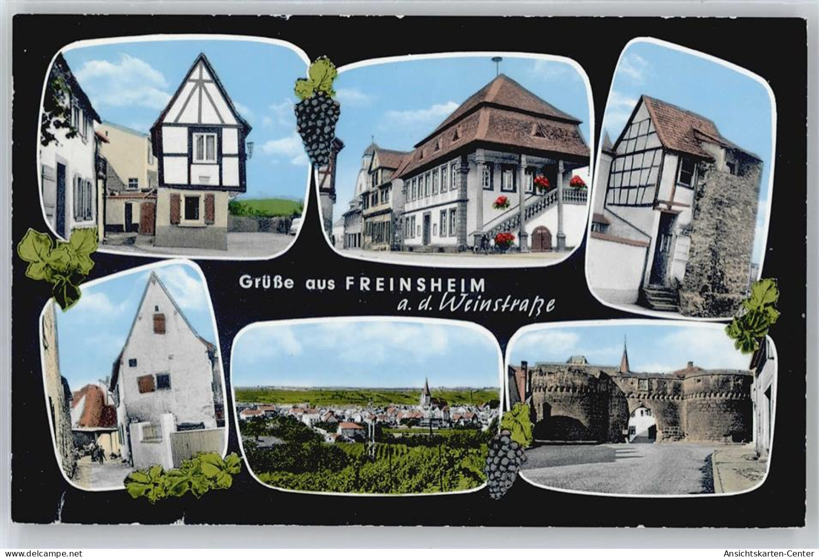 50707716 - Freinsheim