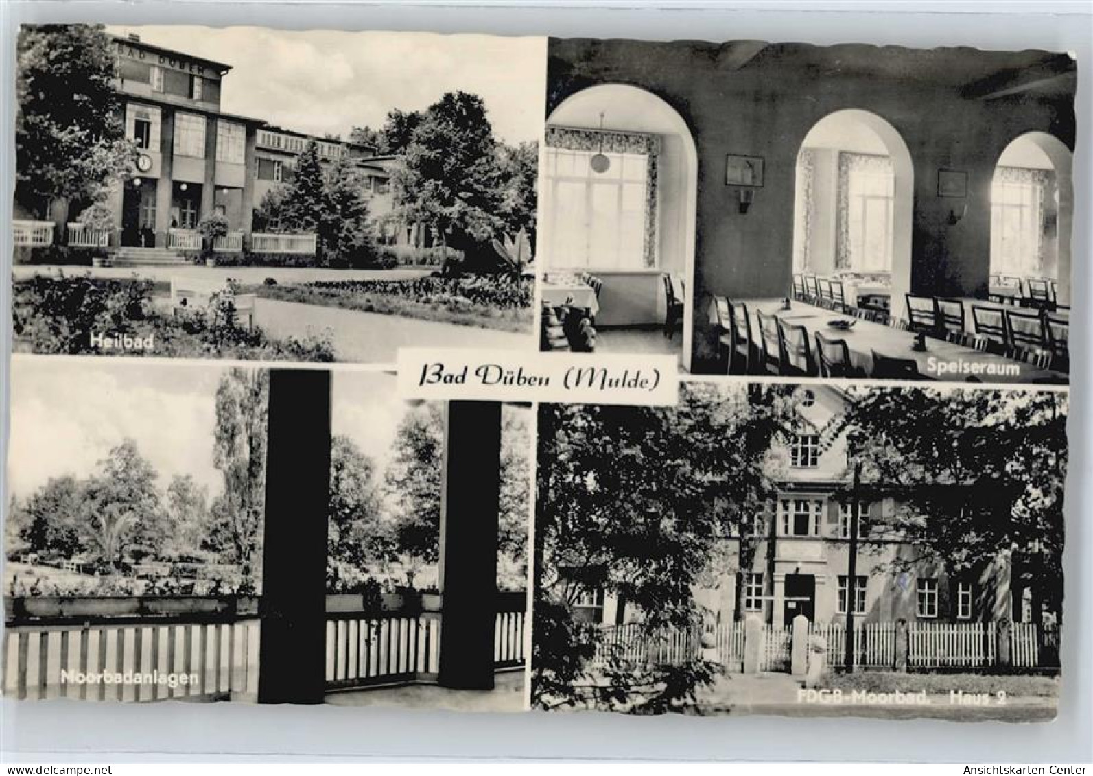 50709316 - Bad Dueben