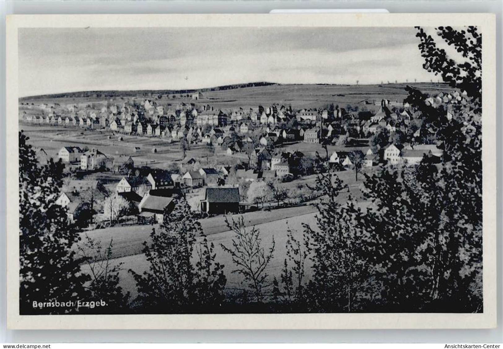 50709319 - Bernsbach