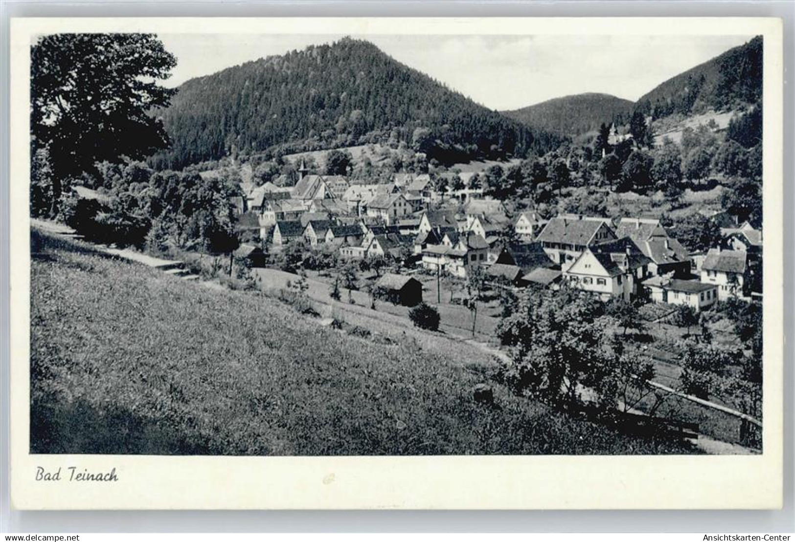 50713254 - Bad Teinach