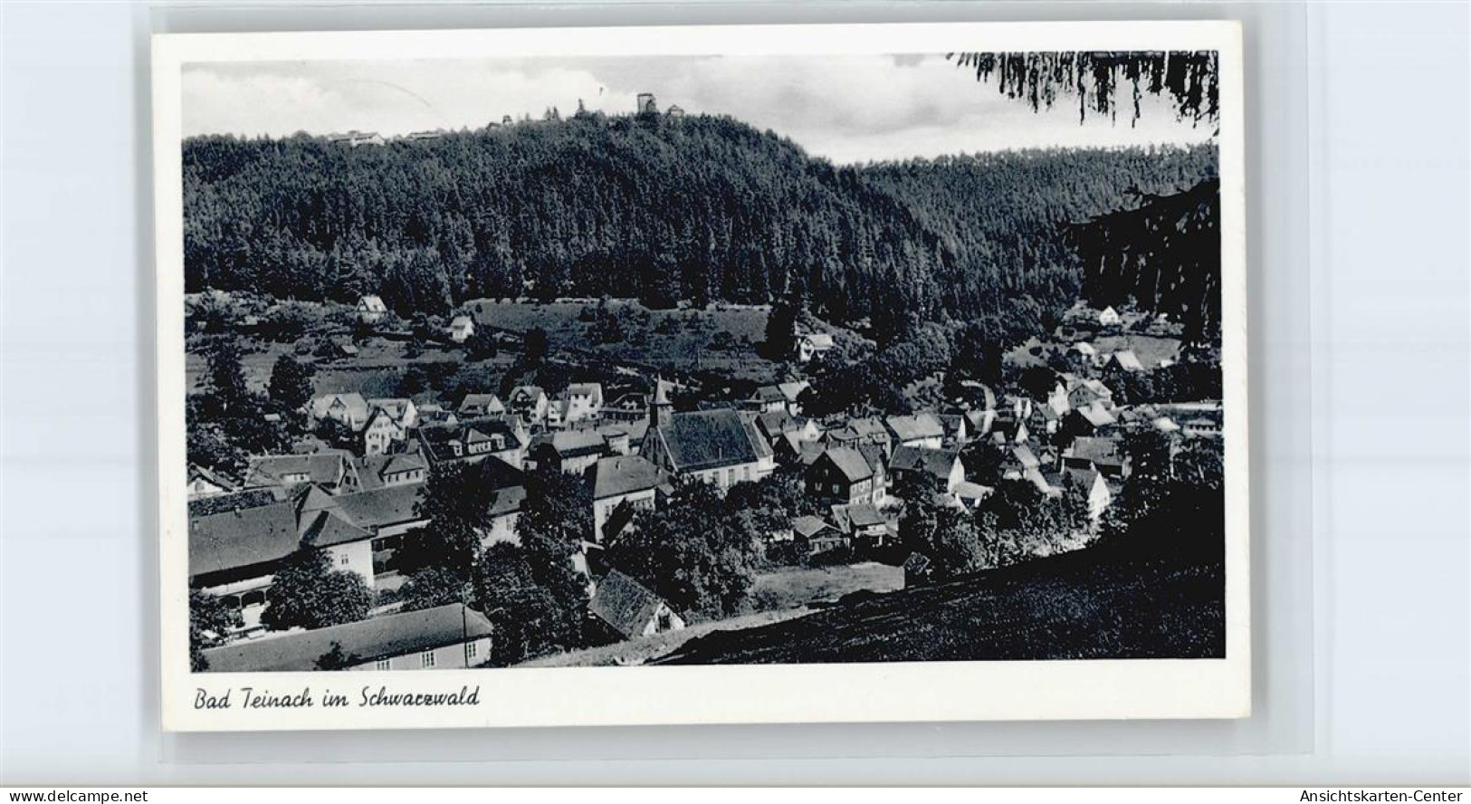 50713339 - Bad Teinach