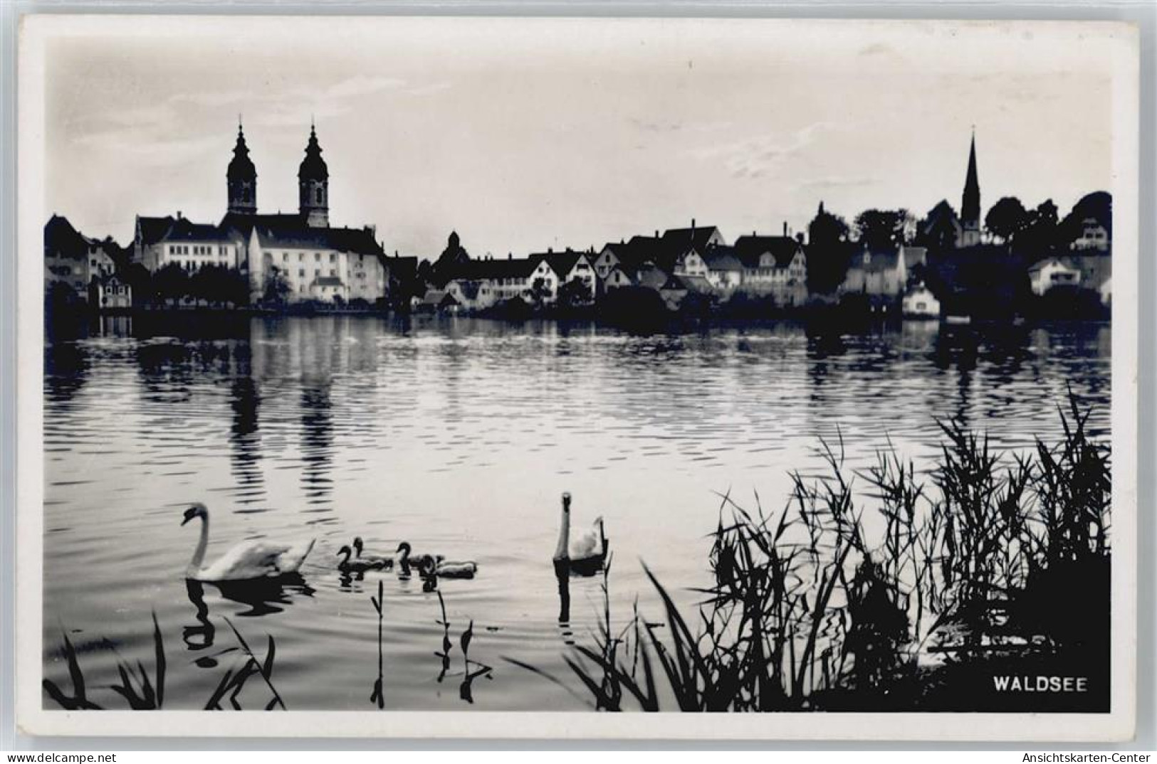 50713386 - Bad Waldsee