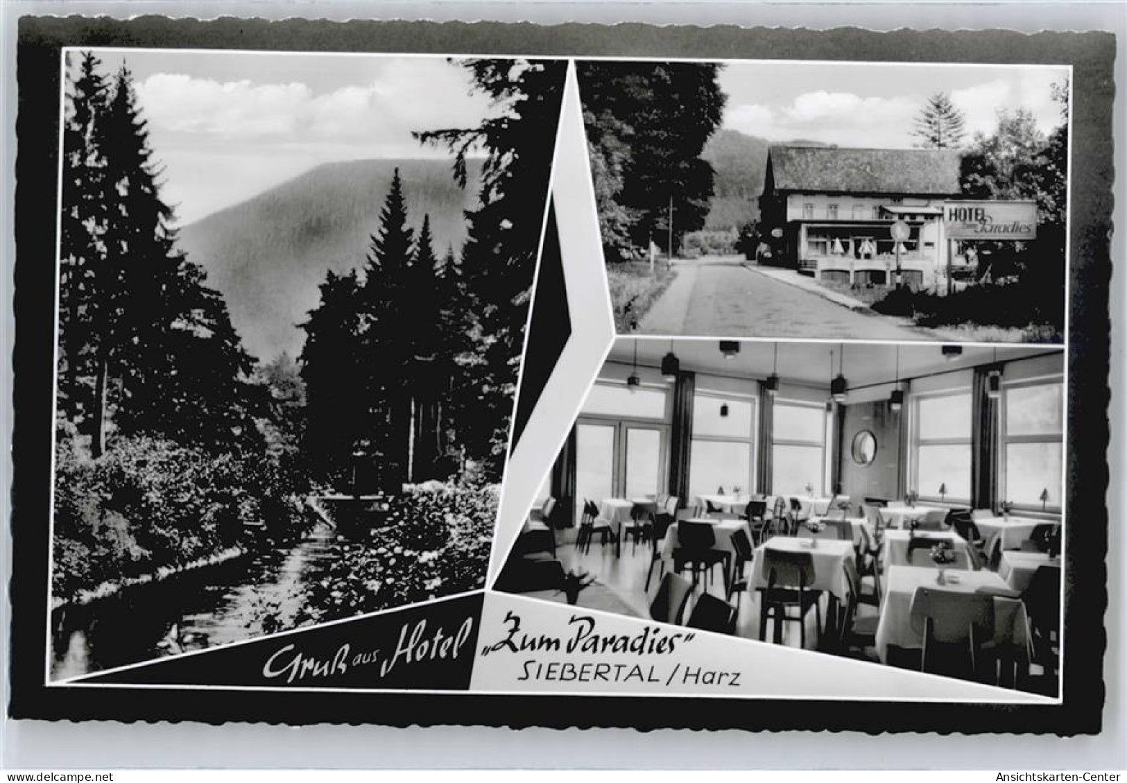 50713531 - Herzberg am Harz