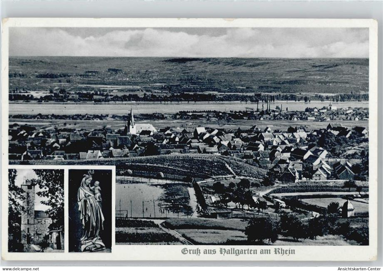 50716315 - Hallgarten , Rheingau