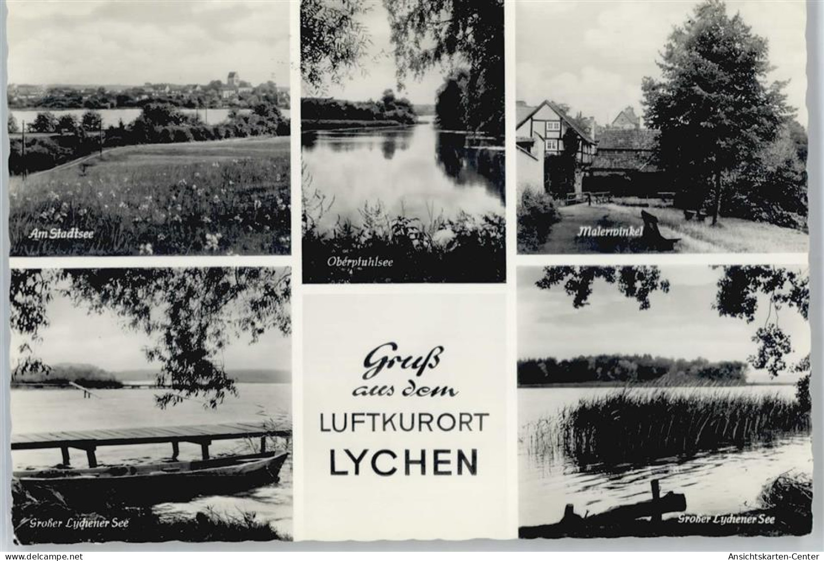 50717666 - Lychen