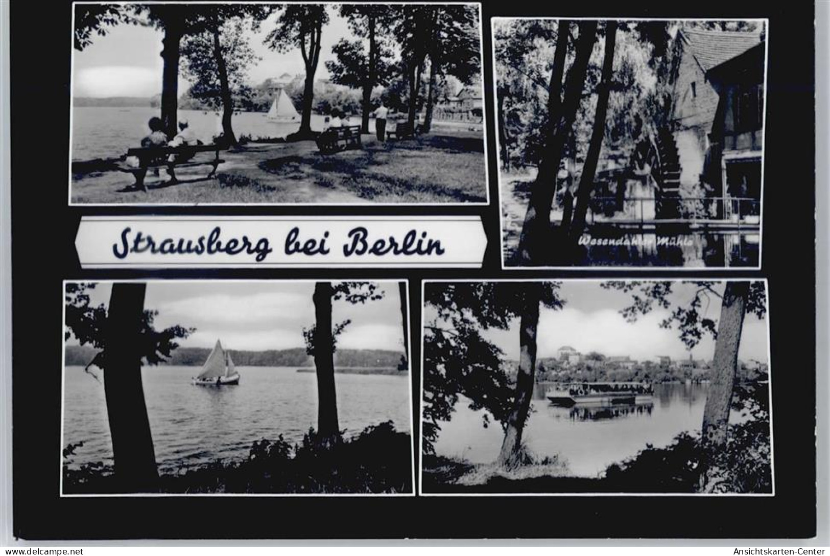 50717895 - Strausberg