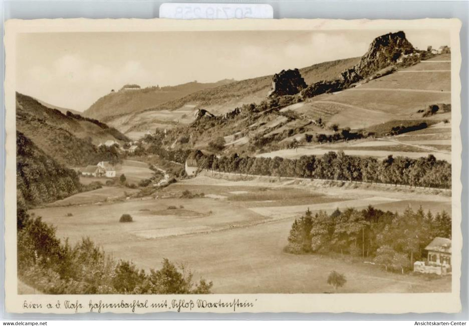 50719258 - Kirn , Nahe