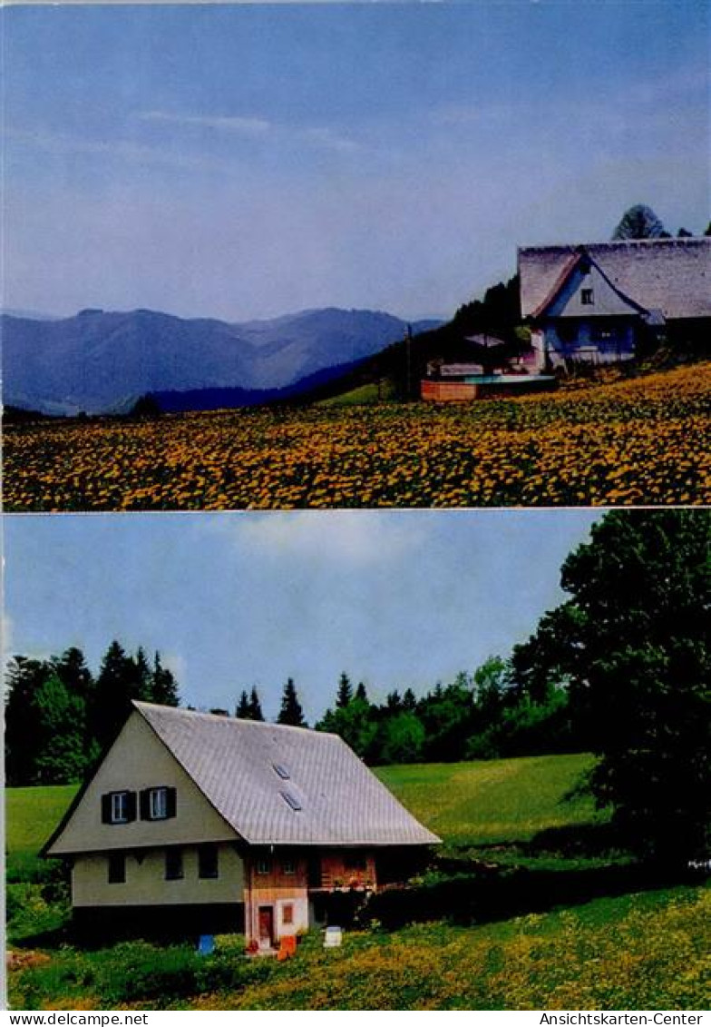 50721159 - Schiltach