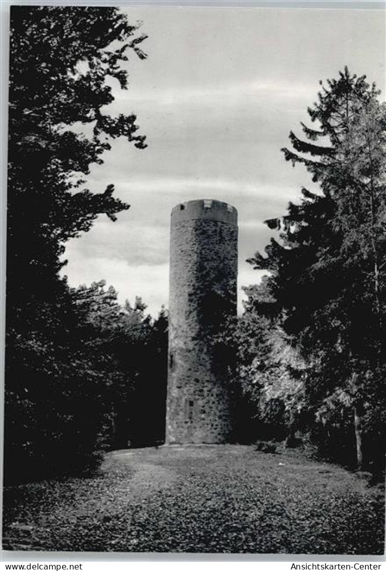 50722838 - Boerninghausen