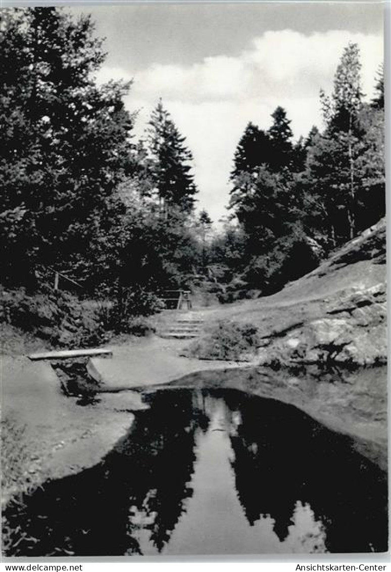 50722984 - Boerninghausen