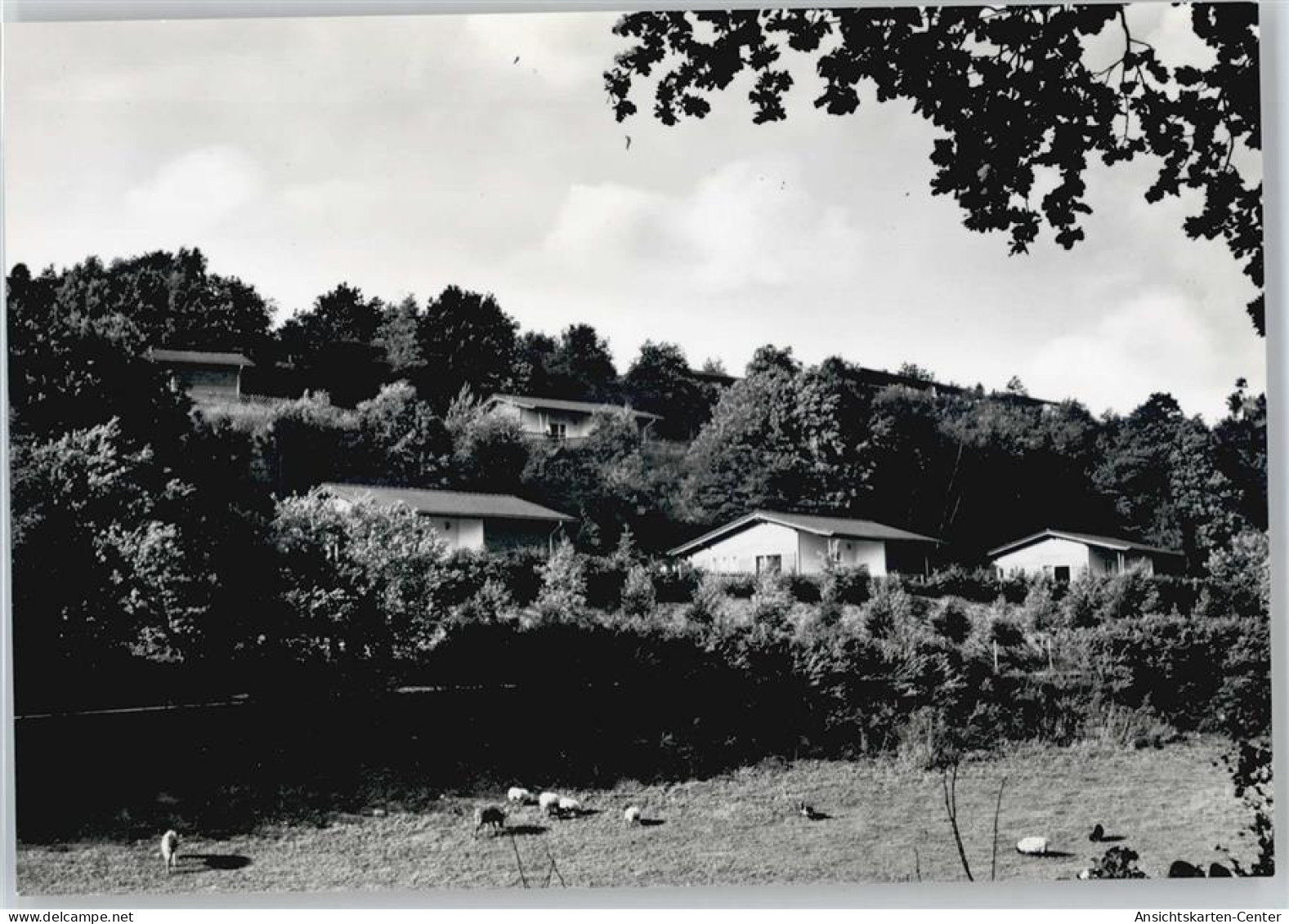 50722988 - Kirchheim , Hess