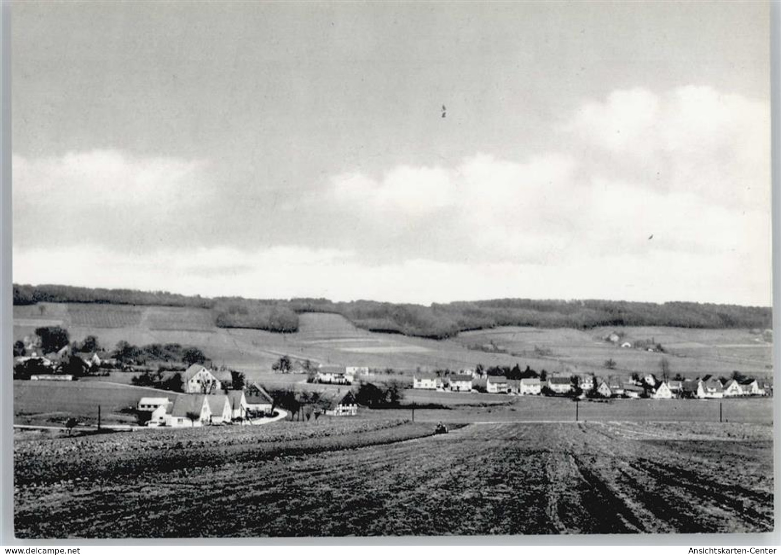 50723318 - Boerninghausen