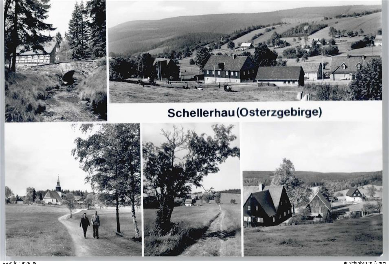 50731278 - Schellerhau
