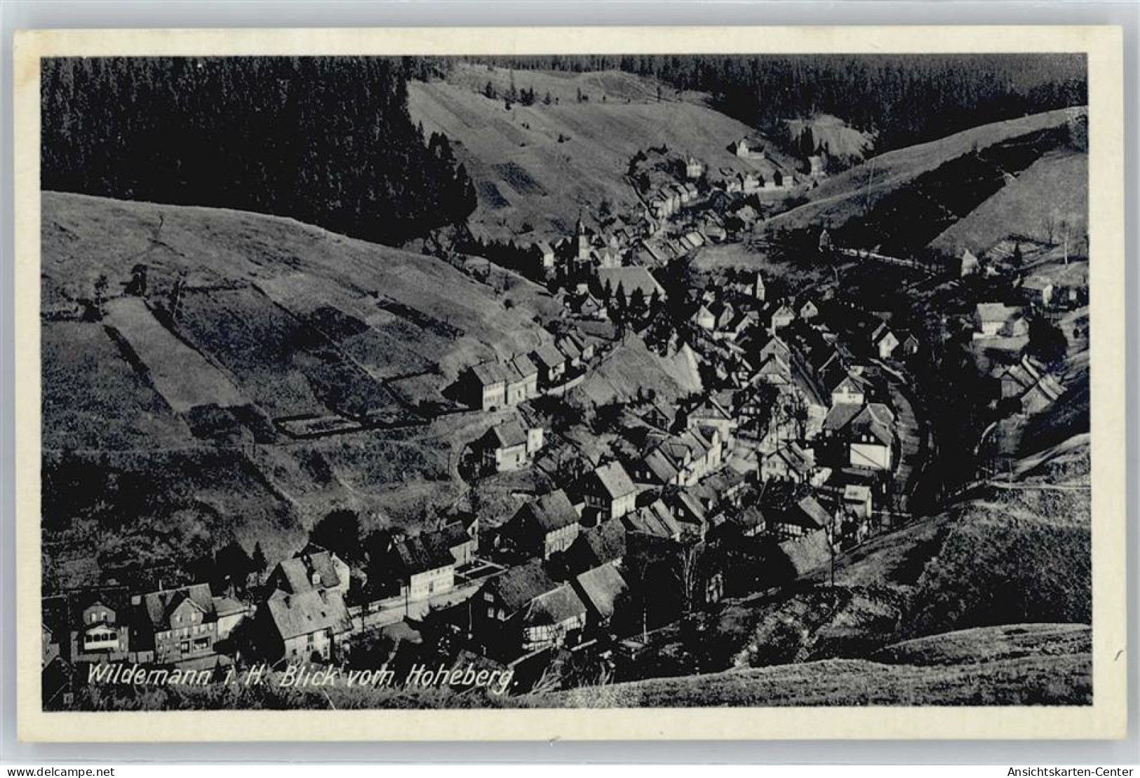 50732537 - Wildemann