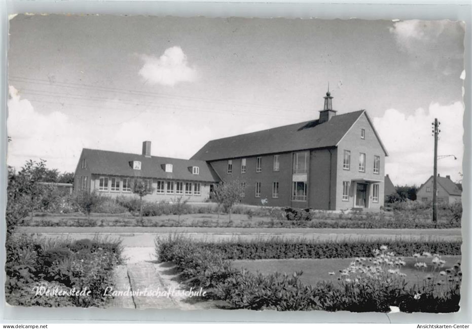 50732690 - Westerstede