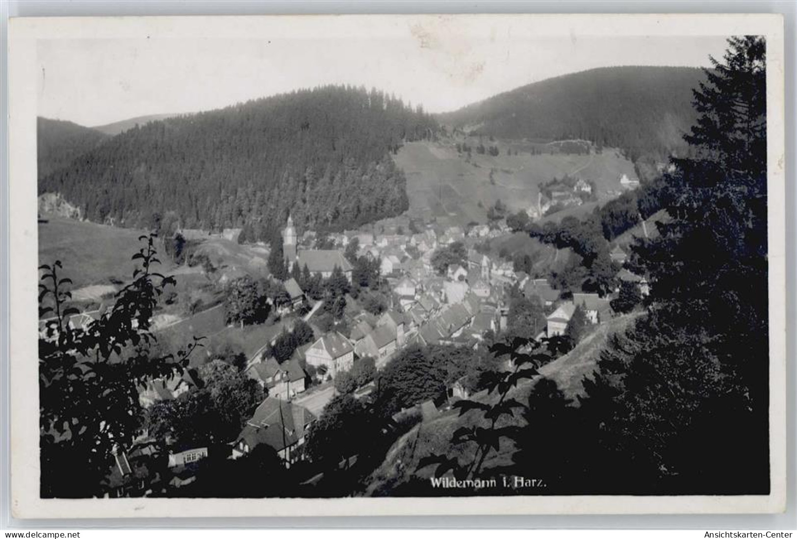 50739057 - Wildemann