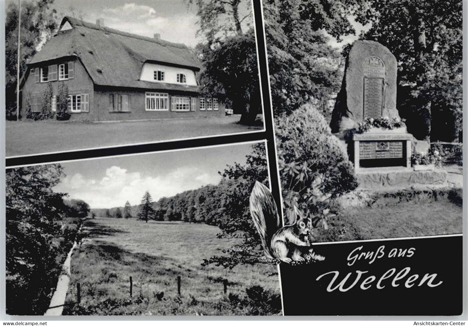 50754839 - Wellen , Kr Wesermuende