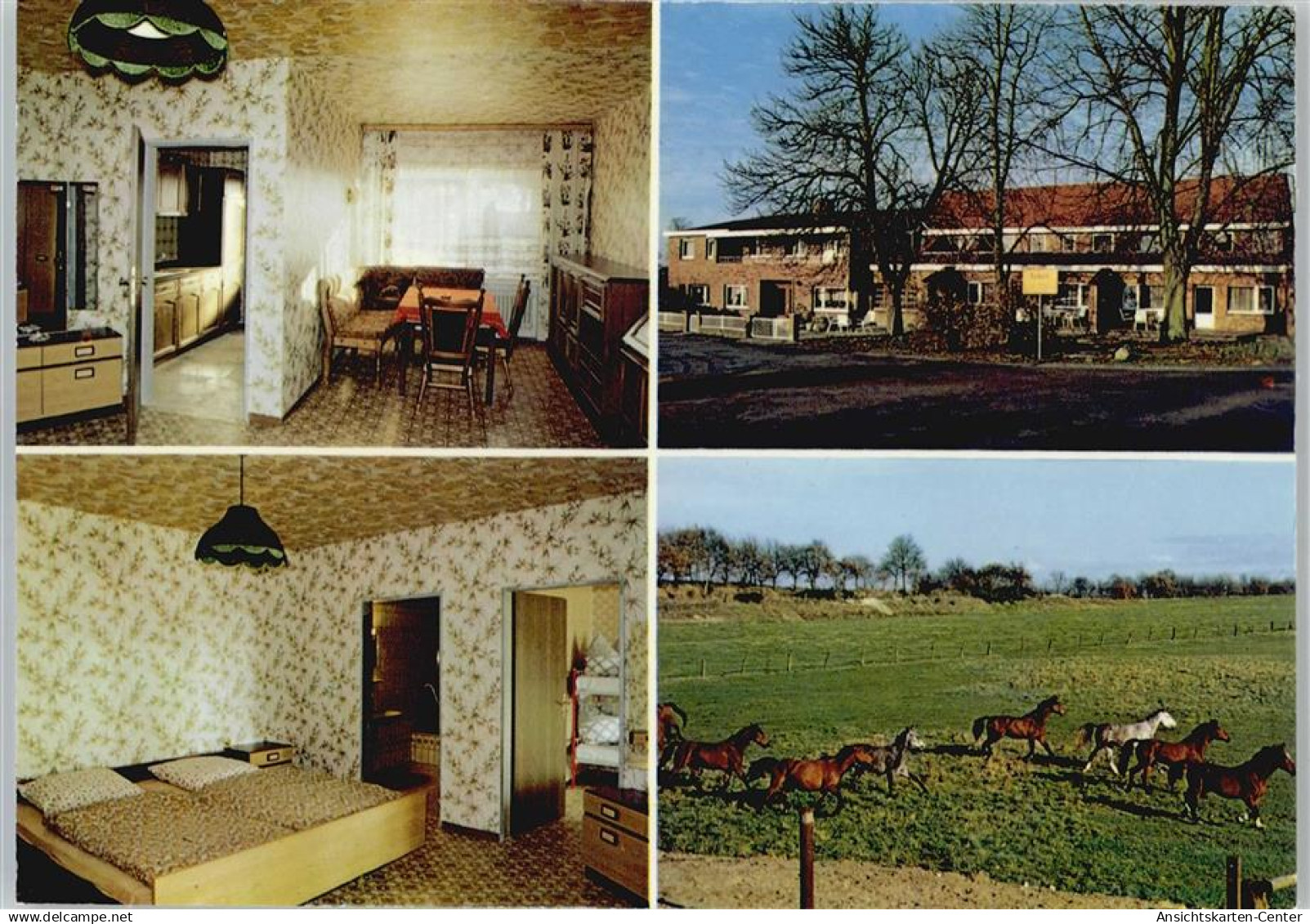 50755445 - Haren (Ems)