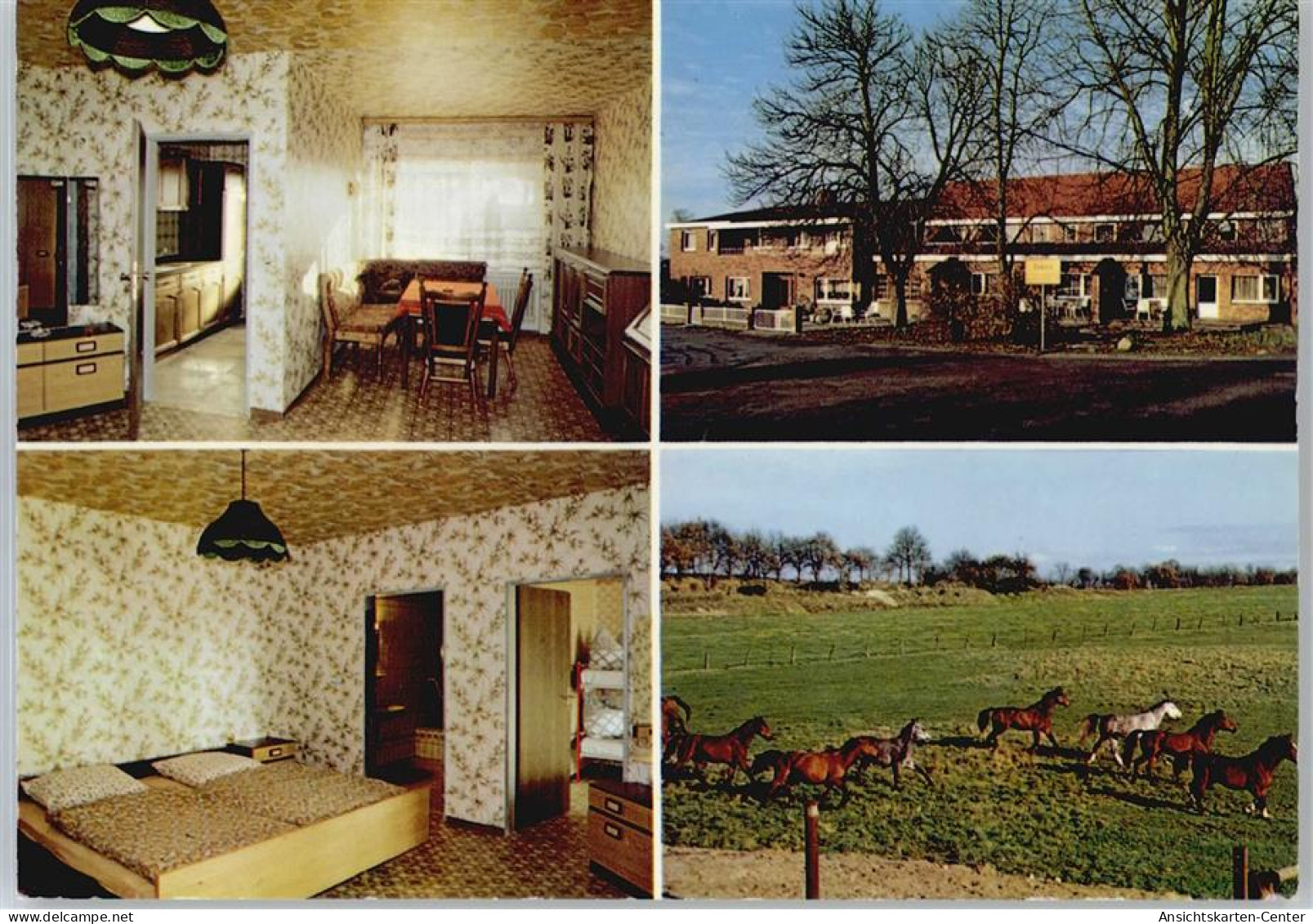 50755739 - Haren (Ems)