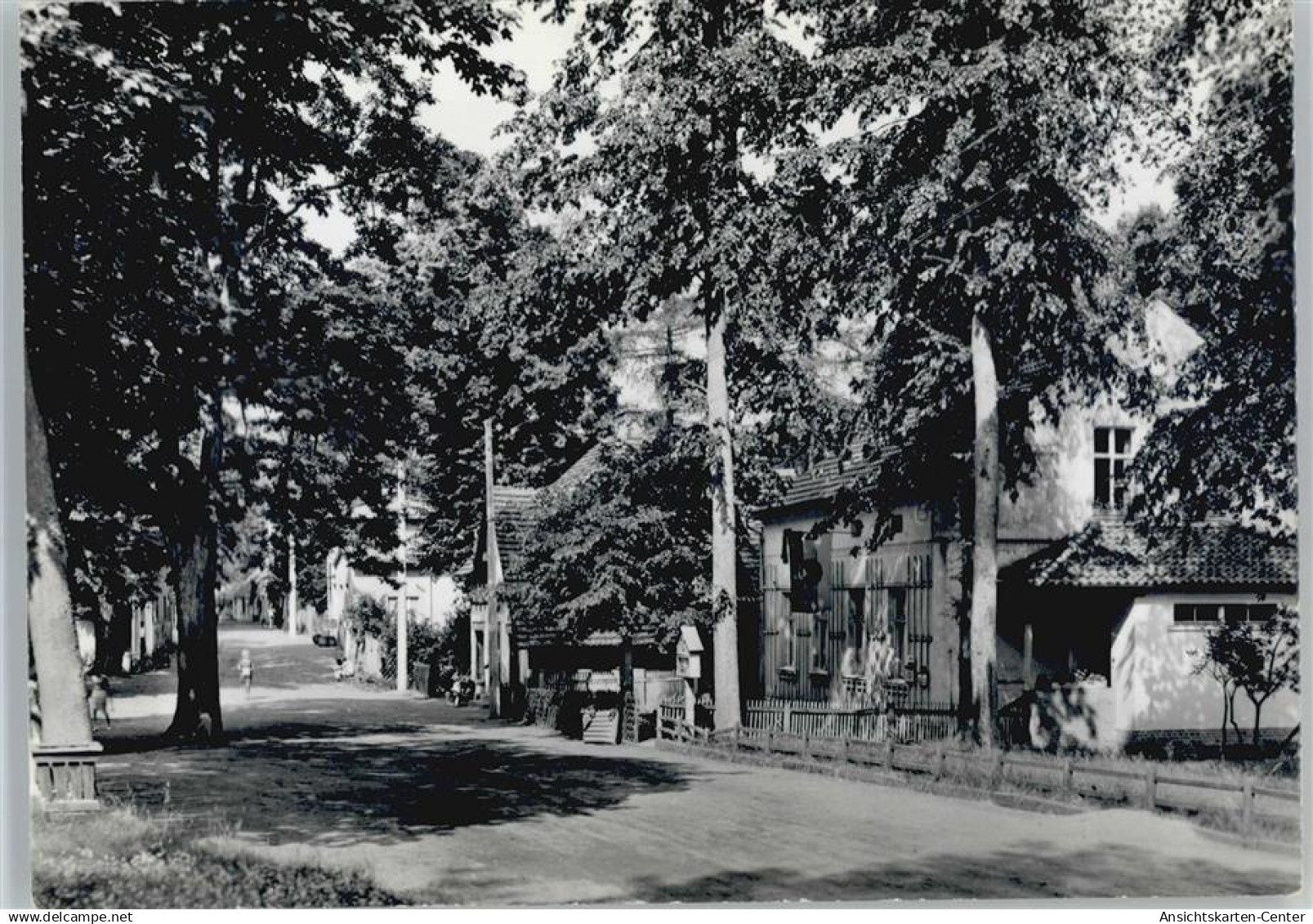 50758765 - Neuglobsow