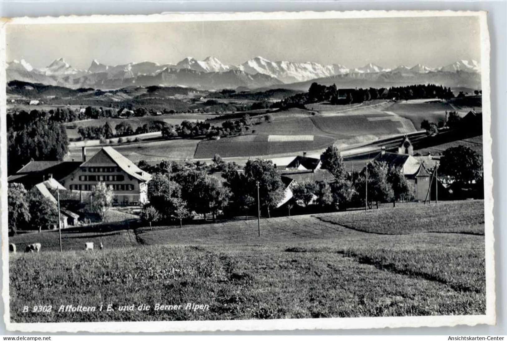 50771877 - Affoltern im Emmental
