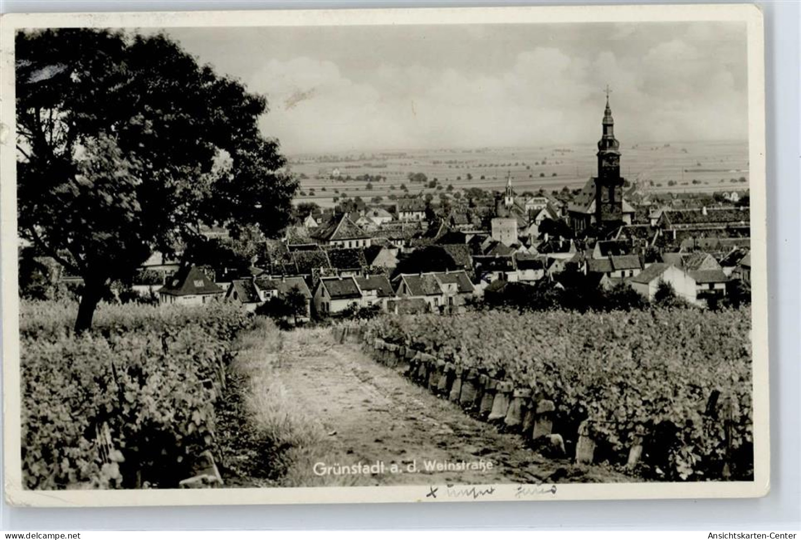 50774562 - Gruenstadt