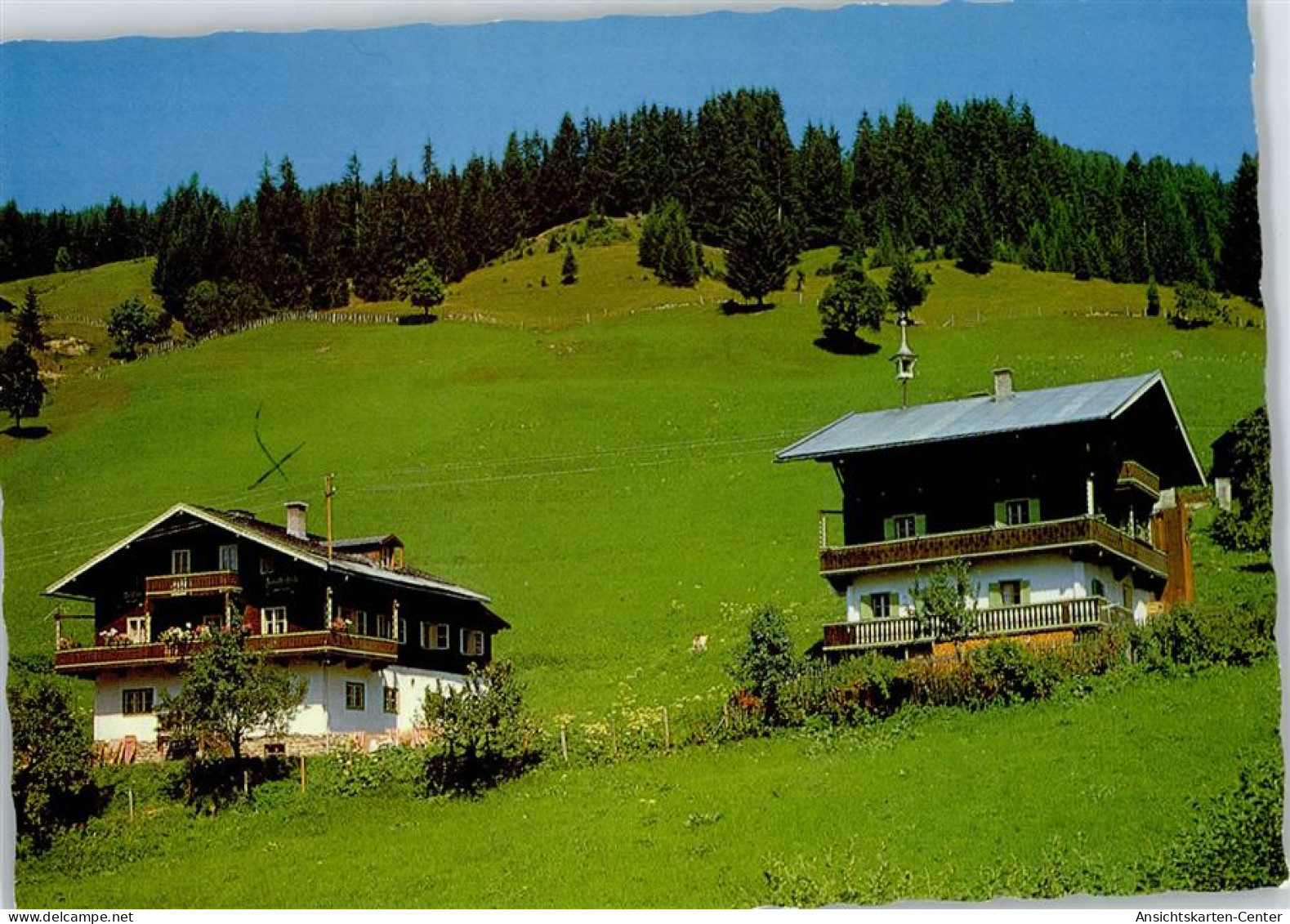 50775057 - Saalbach