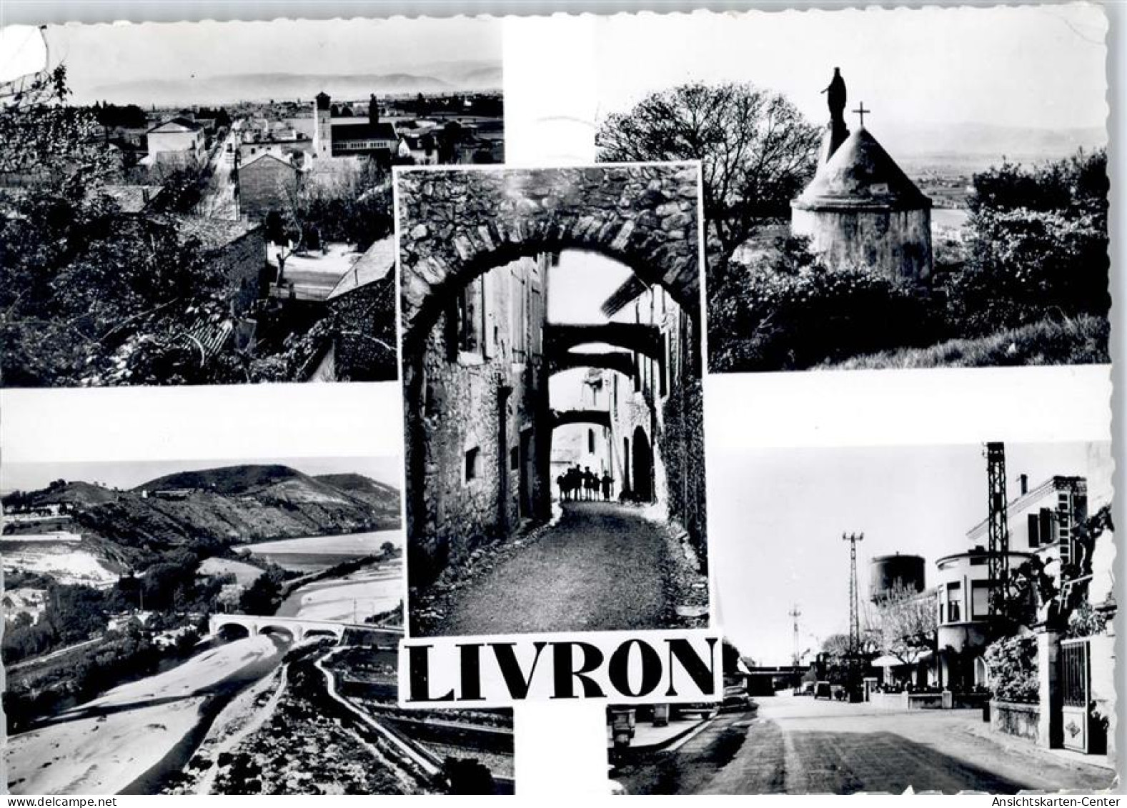 50778647 - Livron