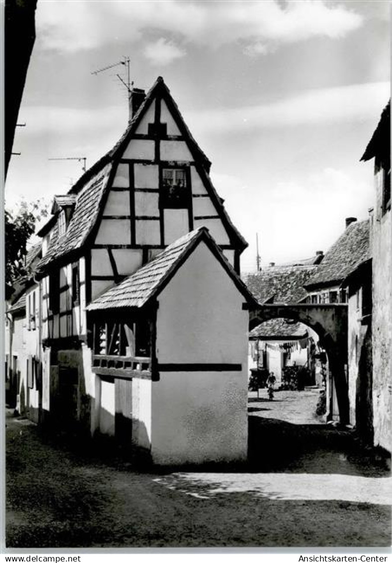 50778955 - Freinsheim