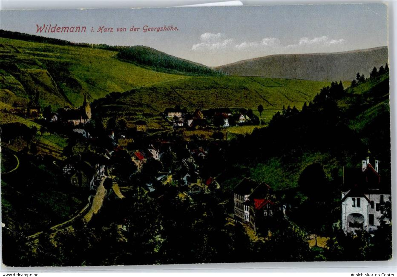 50797685 - Wildemann