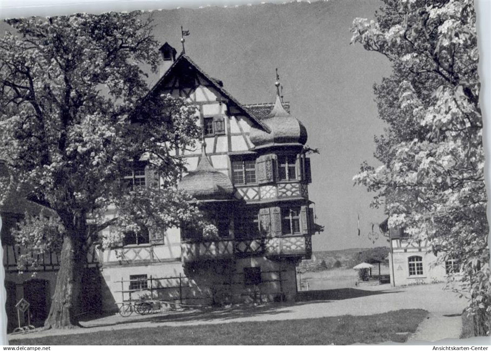 50799674 - Gottlieben