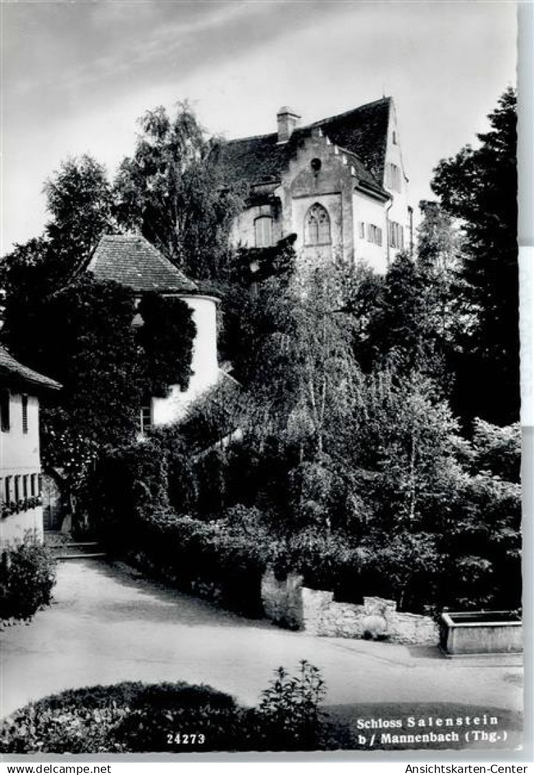 50799799 - Mannenbach-Salenstein