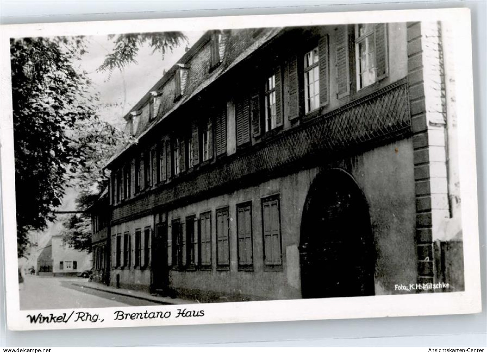 50805655 - Oestrich-Winkel