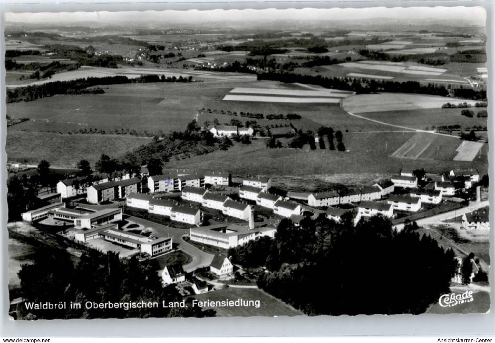50809673 - Waldbroel