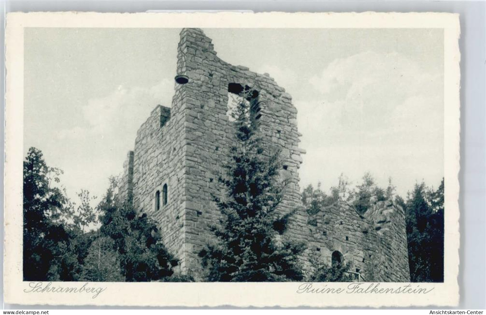 50812412 - Schramberg