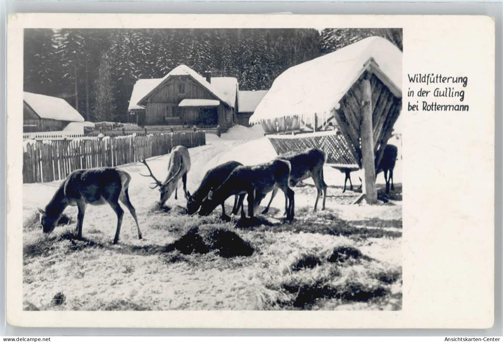 50812716 - Rottenmann