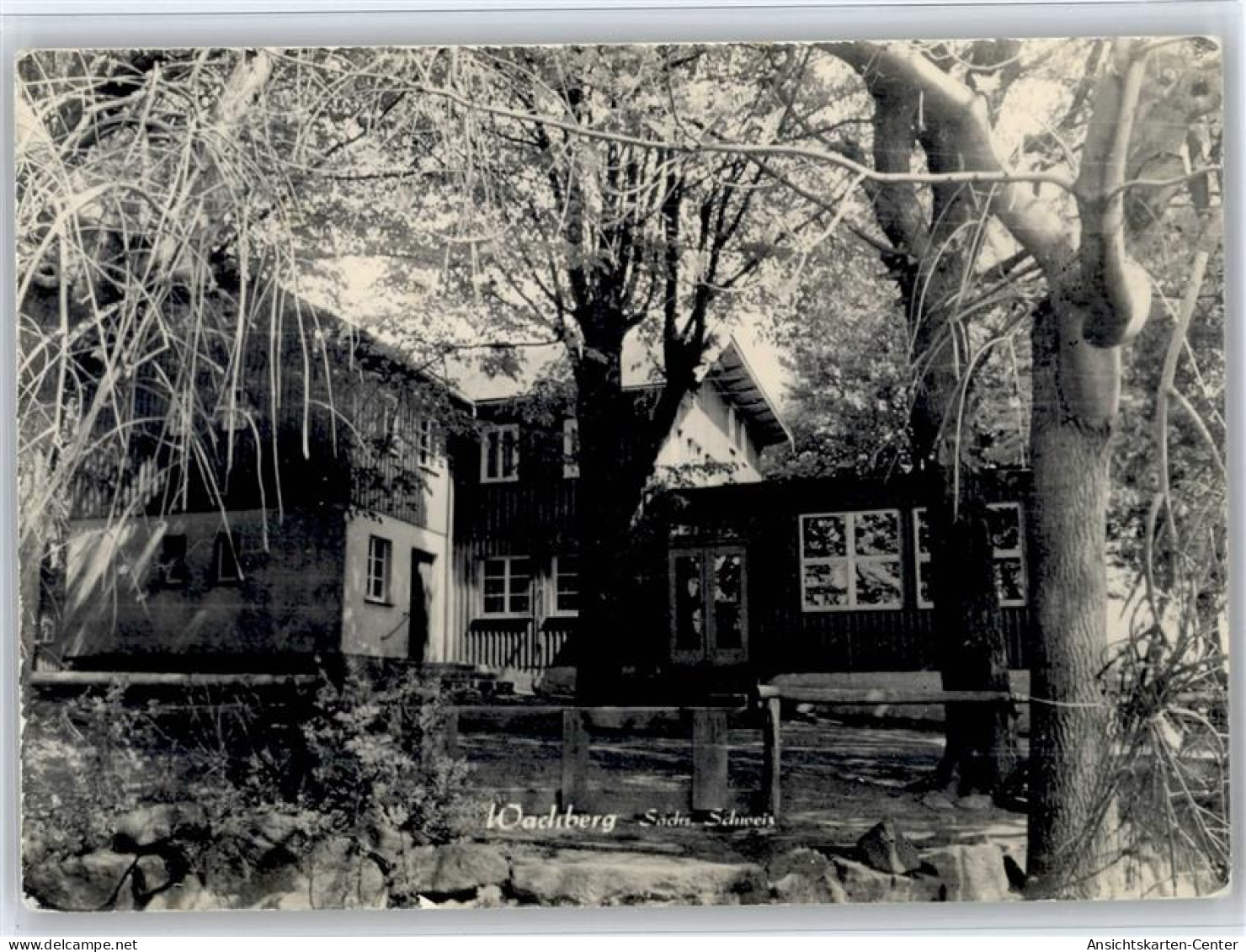 50816489 - Hinterhermsdorf