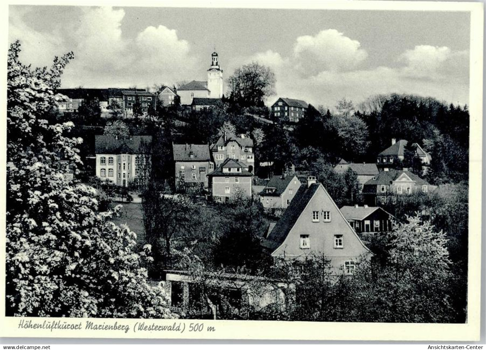 50818815 - Bad Marienberg (Westerwald)